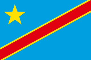 Traktamente under 2024 vid tjänsteresor till Kongo Kinshasa